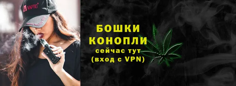 Бошки Шишки OG Kush  Духовщина 